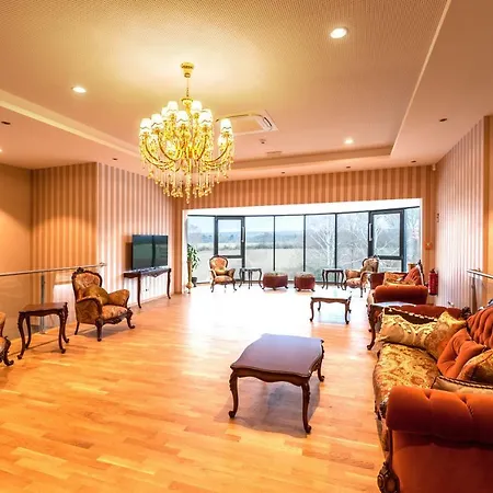 Hotel Mein Palace